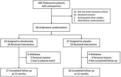 The efficacy of alendronate for the treatment of thalassemia-associated osteoporosis: a randomized controlled trial